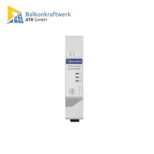 Hoymiles Smartmeter CT-T120RW