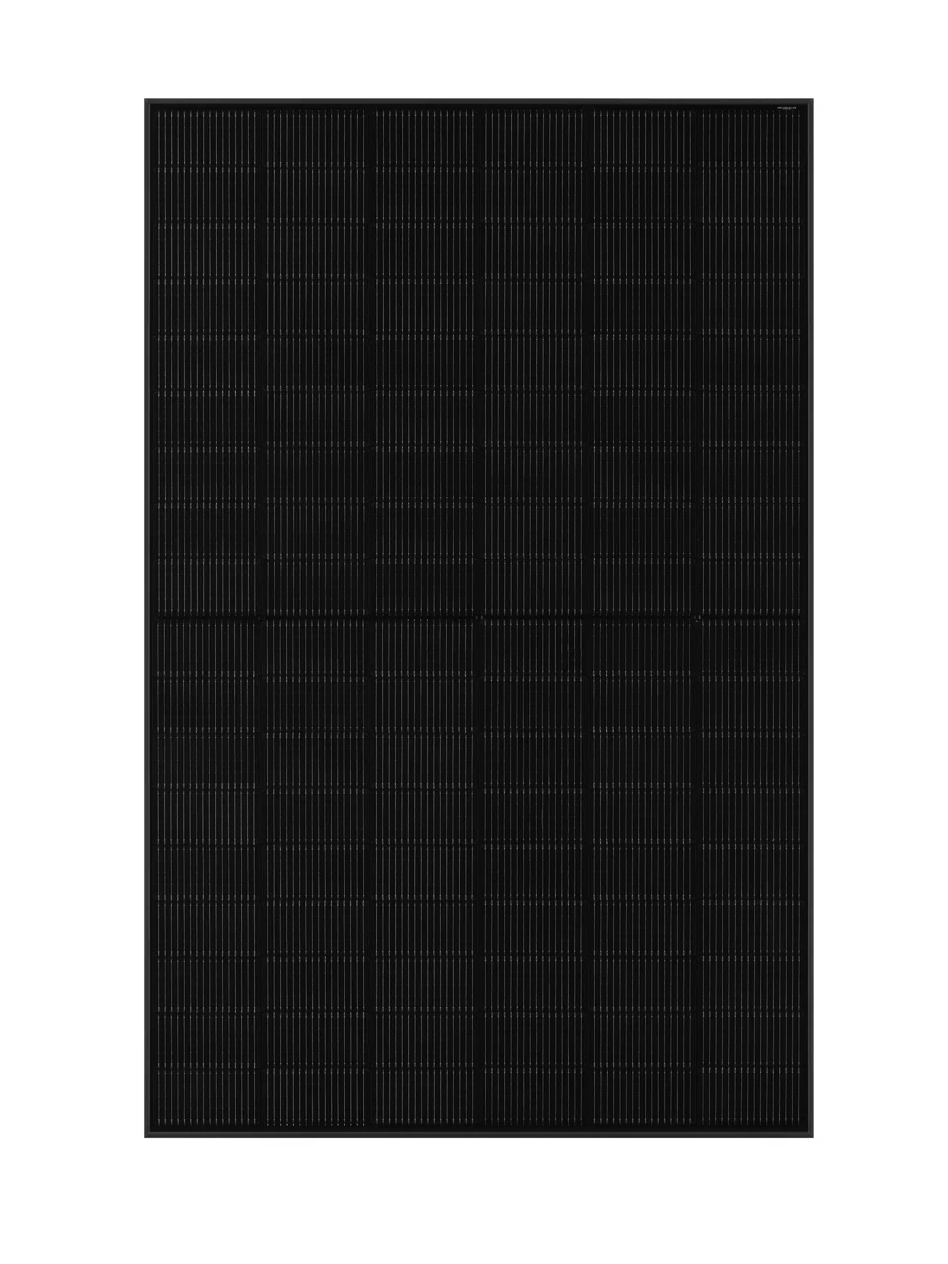 JA Solar JAM54D41-455/LB - 455W bifazial - Full Black – Bild 2